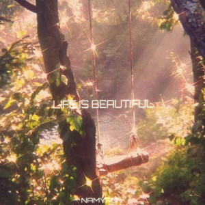 LIFE IS BEAUTIFUL