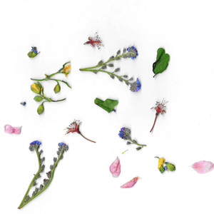 heaven is not a place by schutz und rettung