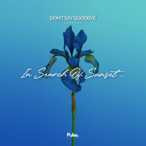 Don't Say Goodbye by Inktone