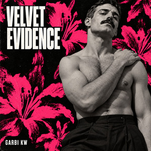 Portada de Velvet Evidence