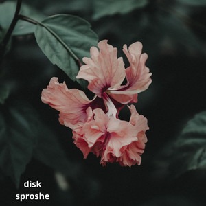 Disk by sproshe