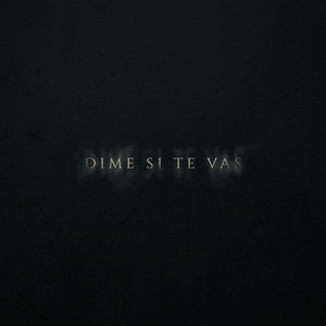 DIME SI TE VAS by Zayko