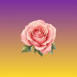 Healing Is Happening by Alira Rose