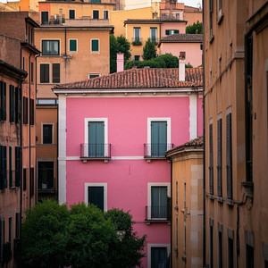 rosa en la roma by Randy three 7