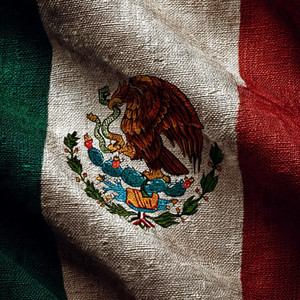 Soy mexicana by El pollo solis