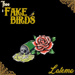 Latemo by Fake Birds