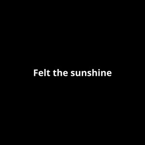 Felt the Sunshine by Thoas Galla