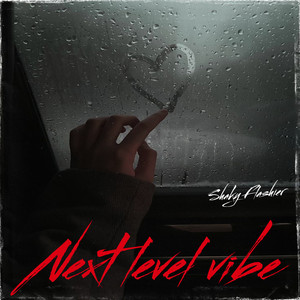 Next Level Vibe by SHAKY FLASHIER