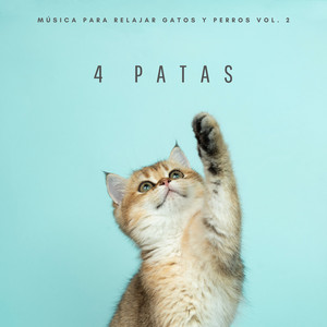 4 Patas: Música Para Relajar Gatos y Perros Vol. 2 album