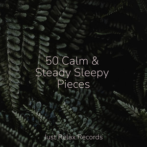 50 Calm & Steady Sleepy Pieces