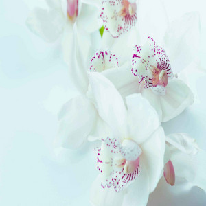 Hip Guitar Chill Out - Background for Ayurvedic Spa album