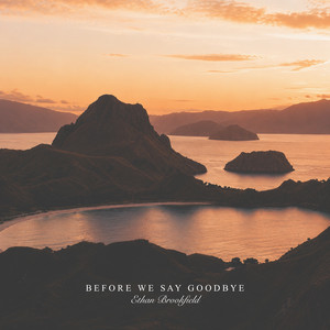 Before We Say Goodbye by Ethan Brookfield