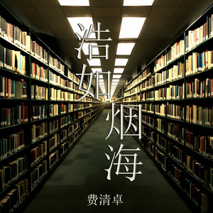 浩如烟海 - 夜晚版 by 费清卓
