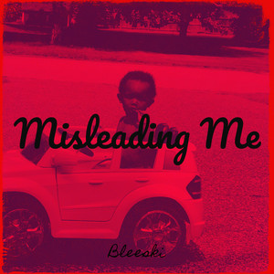 Misleading Me by Bleeski