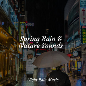 Spring Rain & Nature Sounds album