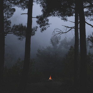 Embers — SVLBRD