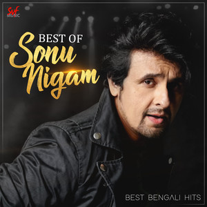 Best Of Sonu Nigam album