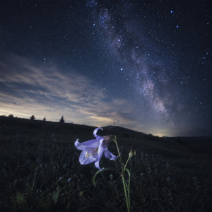 Gentle Breeze by Mia Orchard