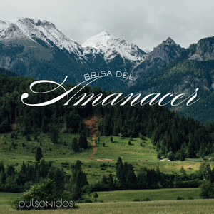 Brisa Del Amanecer by Pulsonidos