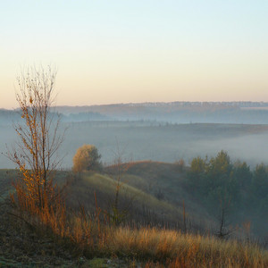 Flyarkivka Acid 3