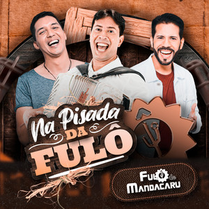 Vida de Sertanejo by Fulô de Mandacaru