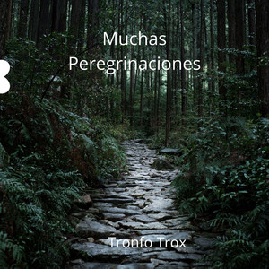 Muchas Peregrinaciones by Tronfo Trox