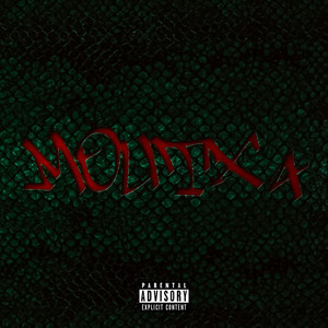 MOUTX4 by BKR
