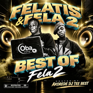 No Dey Sleep by Felatis, Fela 2, Akorede DJ Teebest