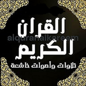 تلاوة باصوات خاشعة - سورة الأنعام - بصوت عطر