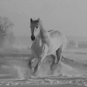 Diamond (Instrumental Complete Version)