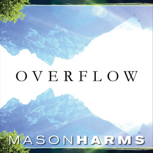 Overflow by Mason Harms