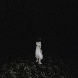 crimson dreams - sped up by graur