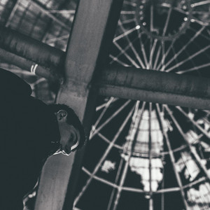 Skibs - Draco Malfoy