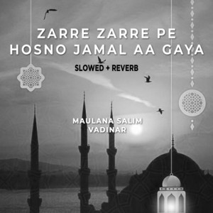 Zarre Zarre Pe Hosno Jamal Aa Gaya (Lofi-Mix)