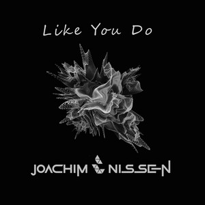 Like You Do by Joachim Nissen, Kelsey