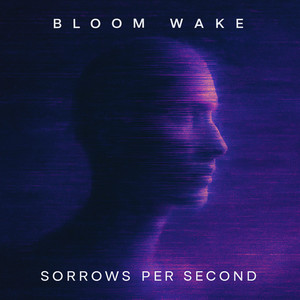 I Can See Right Through You by Bloom Wake