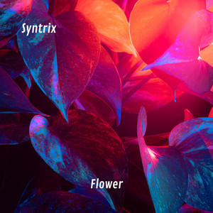 Flower - Radio Edit by Syntrix