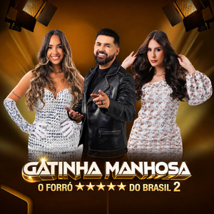 Tentei Te Avisar by Gatinha Manhosa