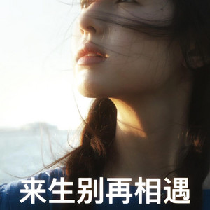 来生别再相遇