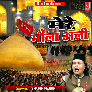 Shamim Naeem - Vo Hain Maula Ali