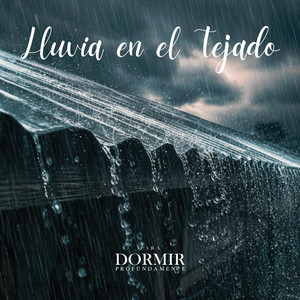 Sonido de Lluvia en Techo de Chapa Pt.16