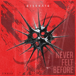 Never Felt Before by Eternate