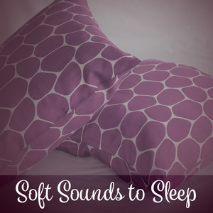Sleep Late by Tina Amalier