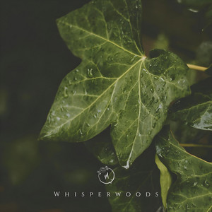 Whisperwoods by Miaquirele