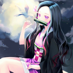 Nezuko Soul
