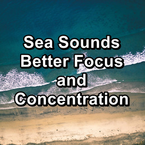 Sea Sounds Better Focus and Concentration album