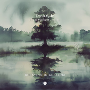 Slow Echoes By The Levee by Dash Cole & The Midnight Grooves