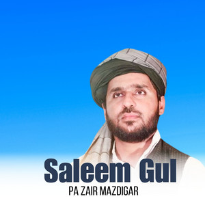 Saleem Gul - Pa Zair Mazdigar