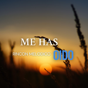 Me Has Oido by Rincon Melodico