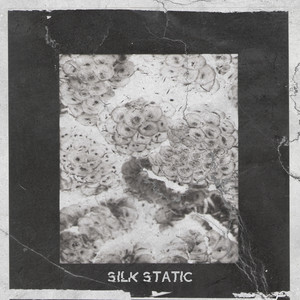 Reflection of Intent by Silk Static
